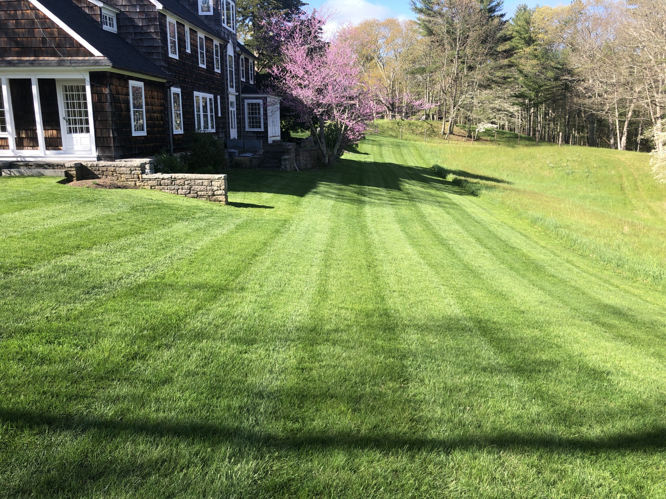Freshly mowed front lawn with visible cutting stripes in front of a large two-story home