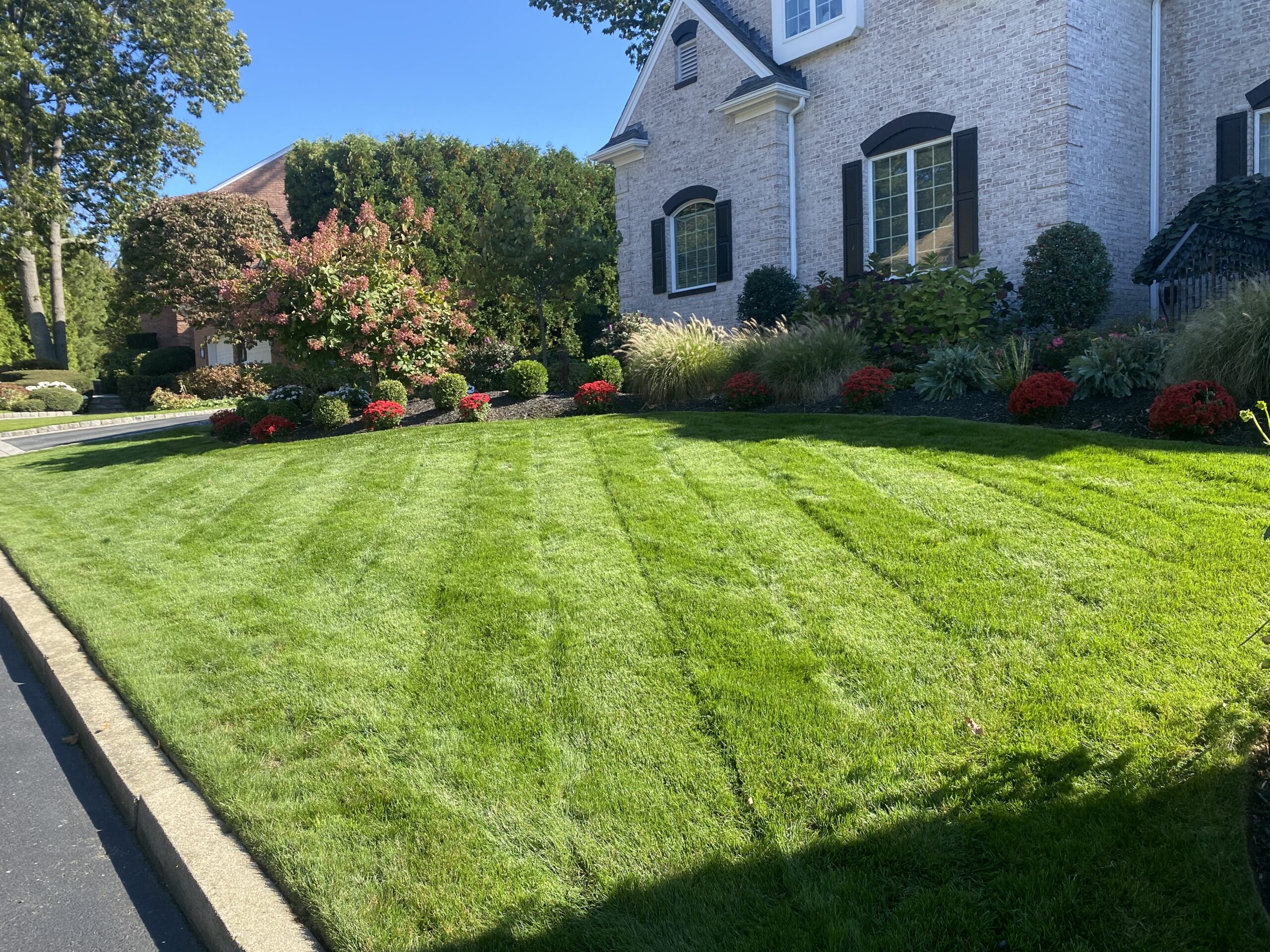Weekly Maintenance + Fertilization