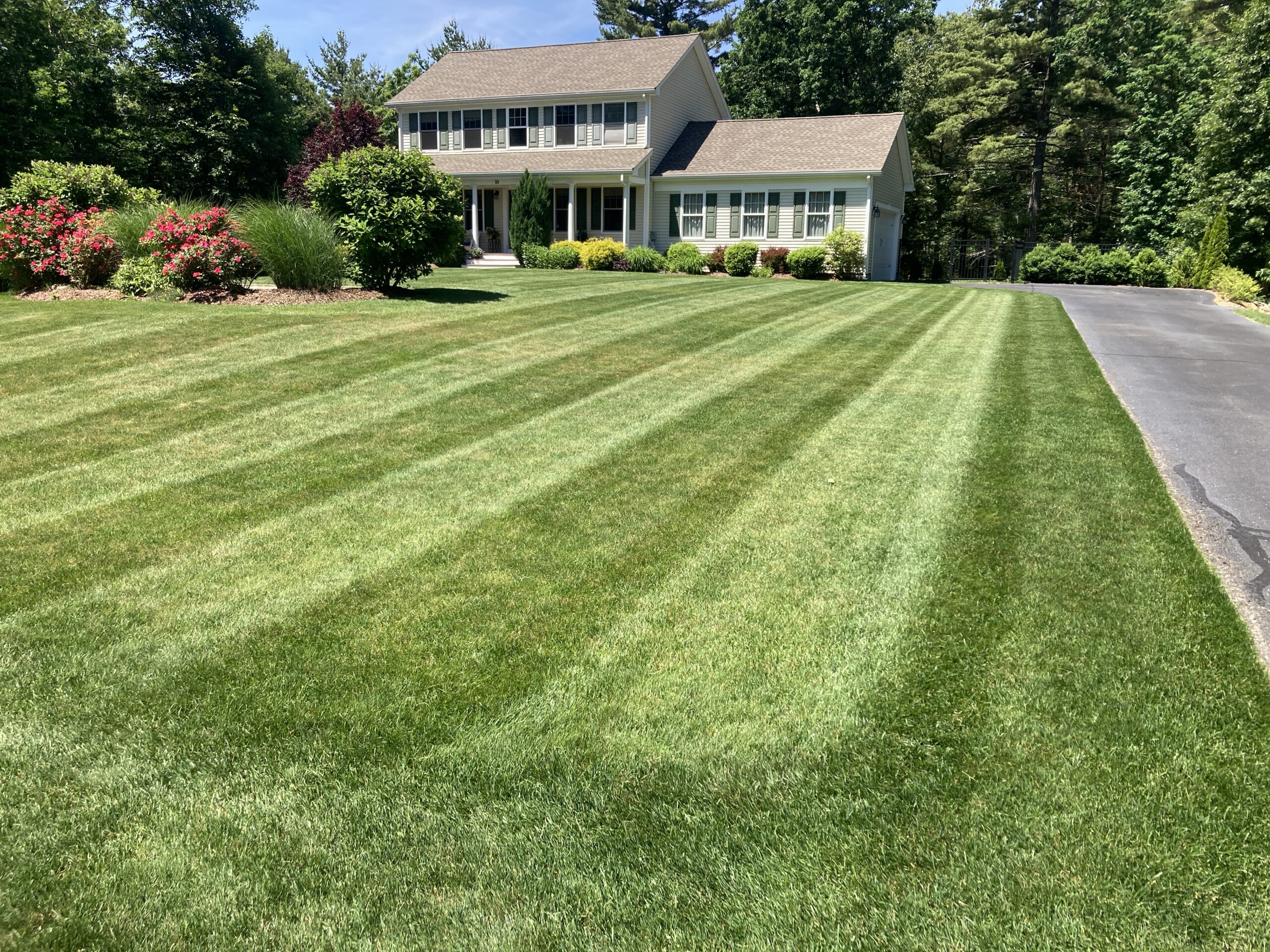 Lawn mowed 2