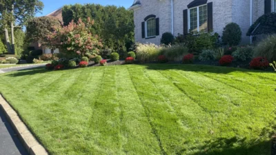 Freshly mowed lawn with curved garden bed in front of a colonial home