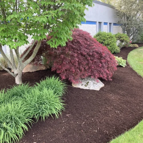 Bot TNERpW9nC1DfLCZ0RUuY customImages Mulch bed compressed